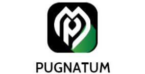 Pugnatum